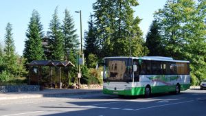 Bus an der Haltestelle "Lugau Bahnhof" | Foto: S. Schimmel